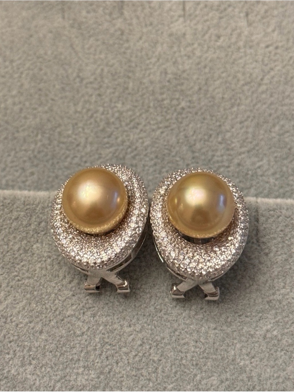 Cultured Golden South Sea Pearl Earrings (12mm) In 925 Silver